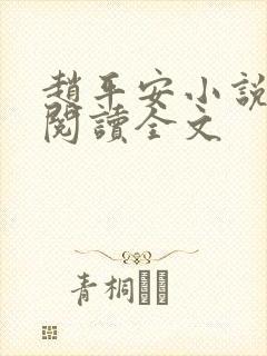 赵平安小说免费阅读全文