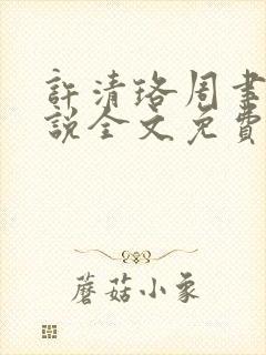 许清珞周聿衡小说全文免费阅读封面