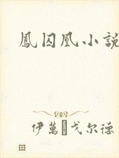 凤囚凰小说