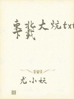 东北大炕txt下载