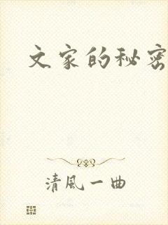 文家的秘密封面