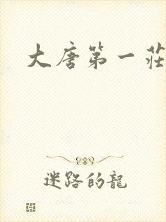 大唐第一庄