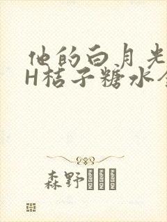 他的白月光HVH桔子糖水全文