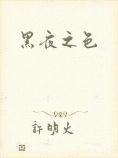 黑夜之色封面