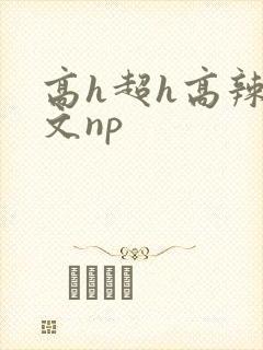 高h超h高辣h文np