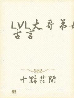 LVL大哥弟媳古言