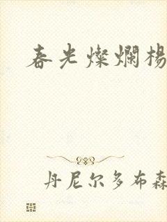 春光灿烂杨家将