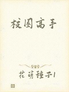 校园高手