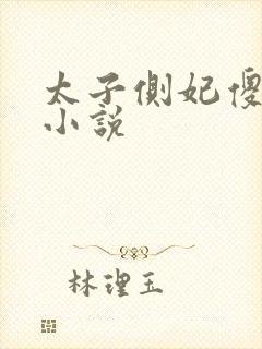 太子侧妃傻乎乎小说