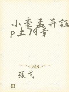 小豪孟卉钰慧三p上79章