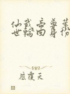 仙武帝尊叶辰九世轮回身份