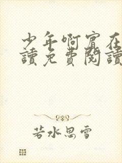 少年啊宾在线阅读免费阅读笔趣封面