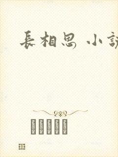 长相思 小说封面