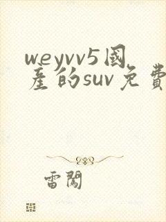 weyvv5国产的suv免费