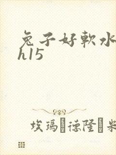 兔子好软水好多h15