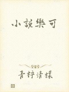 小说乐可封面