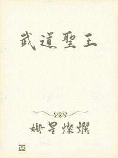 武道圣王