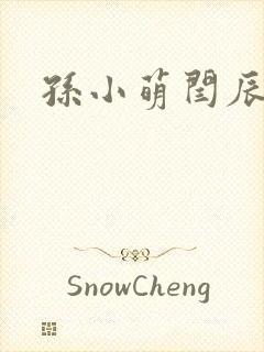 孙小萌闫辰封面