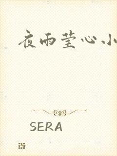 夜雨莹心小说