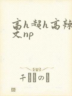 高h超h高辣h文np