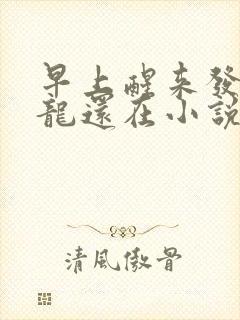 早上醒来发现巨龙还在小说封面