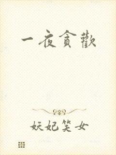 一夜贪欢