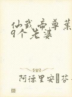 仙武帝尊叶辰19个老婆封面