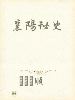 襄阳秘史