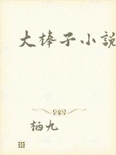 大棒子小说