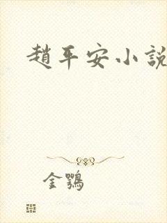 赵平安小说主角封面