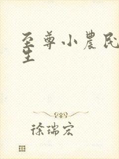 至尊小农民王木生封面