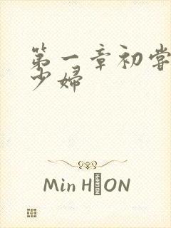 第一章初尝极品少妇