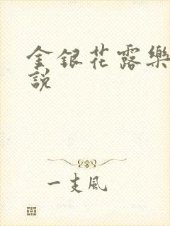 金银花露乐可小说封面