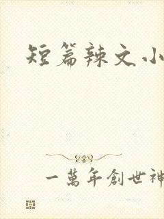 短篇辣文小说