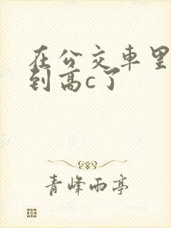 在公交车里c弄到高c了