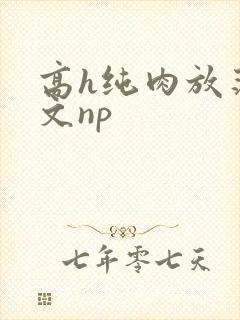 高h纯肉放荡h文np