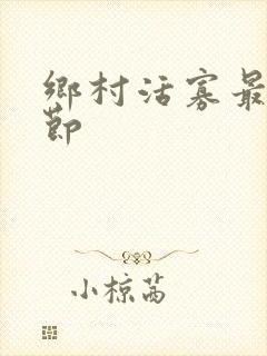 乡村活寡最新章节