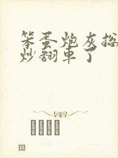 笨蛋炮灰总被爆炒翻车了