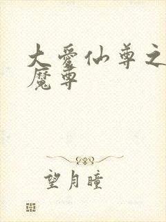 大爱仙尊之邪淫魔尊