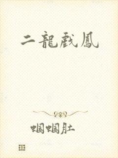 二龙戏凤