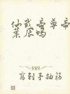 仙武帝尊帝荒是叶辰吗