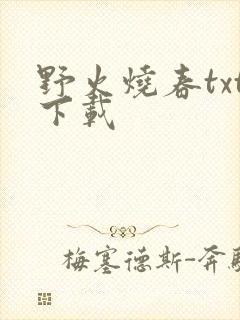 野火烧春txt下载