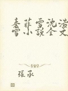 秦菲雪沈浩秦菲雪小说全文免费阅读求书封面