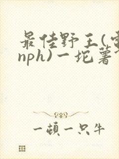 最佳野王(电竞nph)一坨薯饼封面