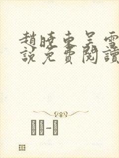 赵晓东吴雪晴小说免费阅读封面