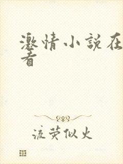 激情小说在线观看封面