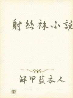 射丝袜小说