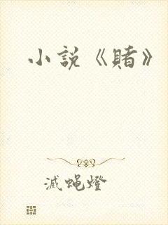 小说《赌》封面