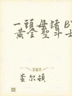 一头母猪 BY 黄金圣斗士