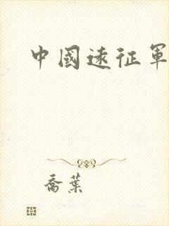 中国远征军小说封面